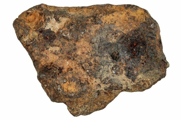 Agoudal Iron Meteorite ( g) - Morocco #288893